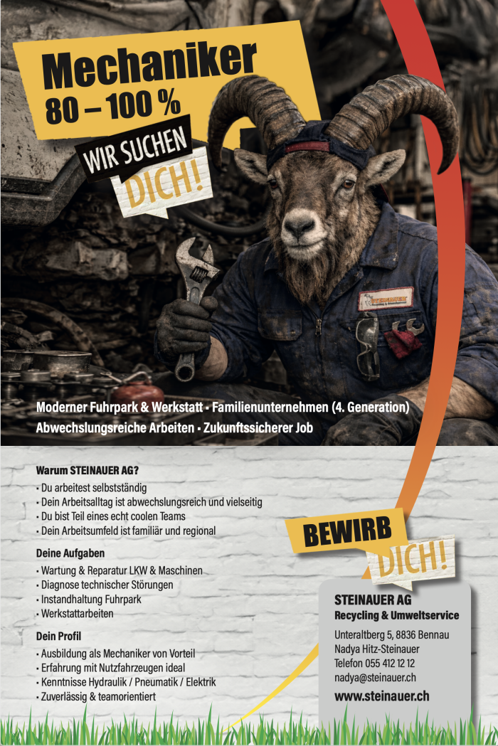 Offene Stelle als Mechaniker 80-100%